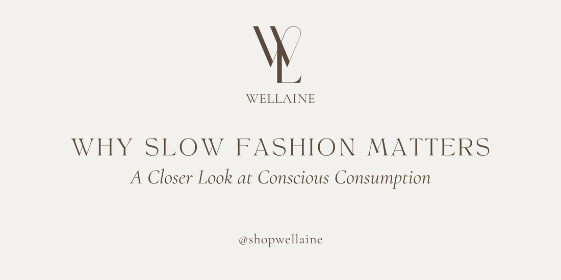 Wellaine logo and Why Slow Fashion Matters title promoting conscious consumption and mindful shopping habits.