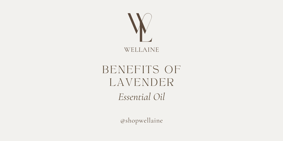 Wellaine logo and Benefits of Lavender Essential Oil title highlighting natural uses and wellness advantages.
