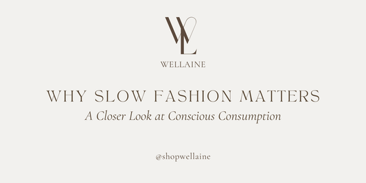 Wellaine logo and Why Slow Fashion Matters title promoting conscious consumption and mindful shopping habits.