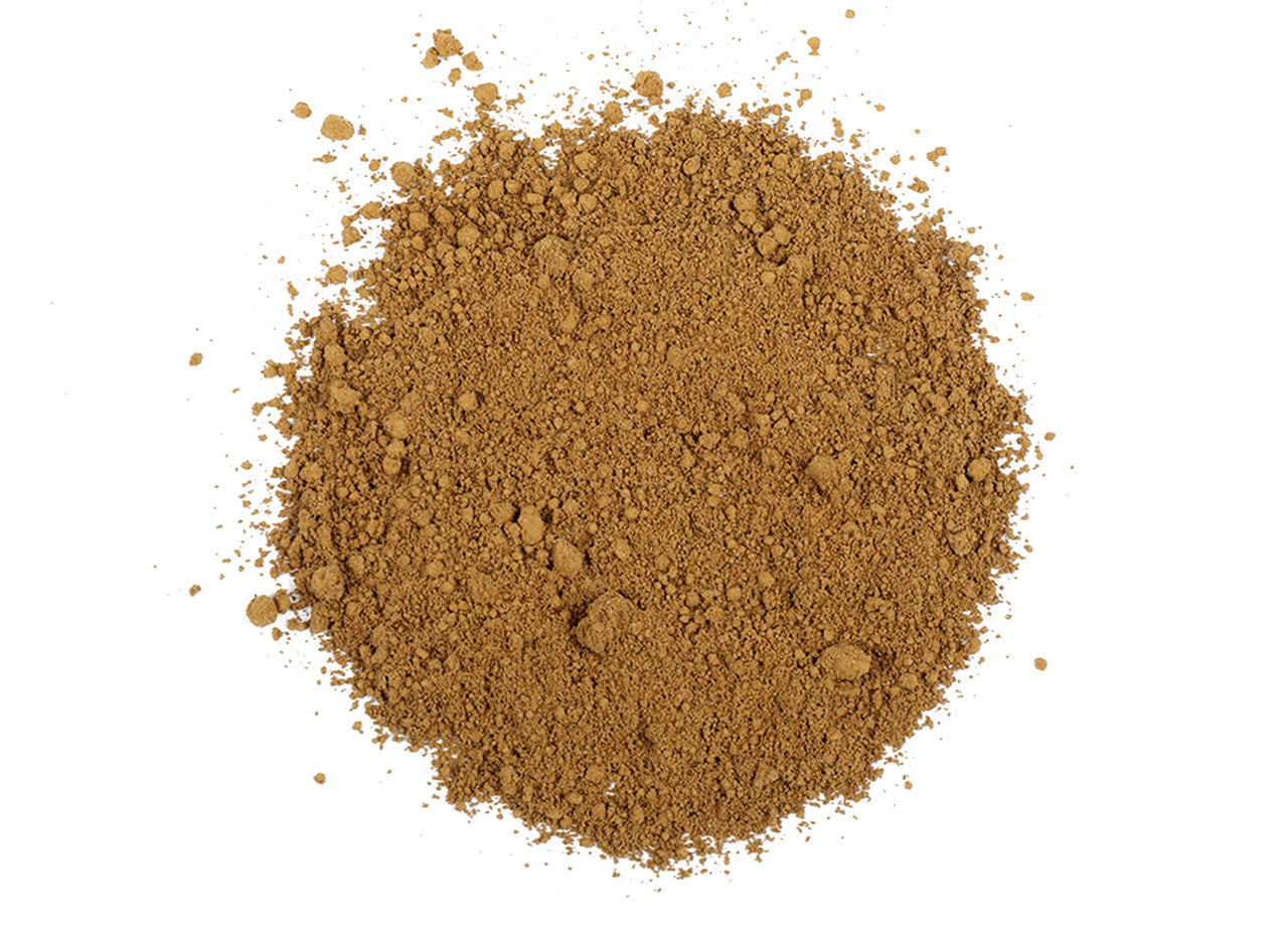 Daydream Organics close-up of organic mushroom powder.