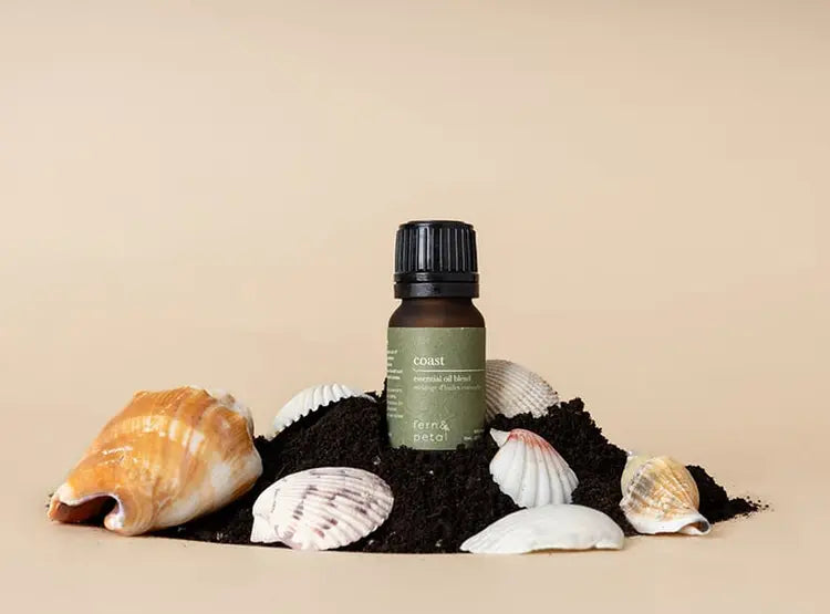 Fern & Petal Coast Essential Oil Blend bottle resting on sand with colorful seashells on a neutral background.