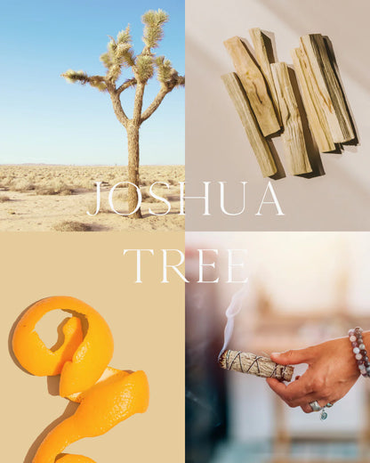 Joshua Tree moodboard showing palo santo, citrus peel, sage bundle, and a desert tree collage.