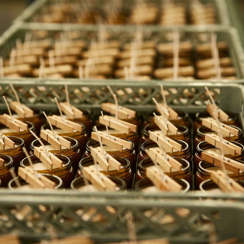 Tray of freshly poured P.F. Candle Co. Amber & Moss Soy Candles with wicks clipped for setting.