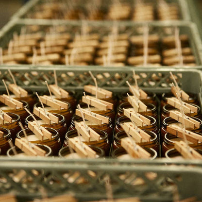 Tray of freshly poured P.F. Candle Co. Amber & Moss Soy Candles with wicks clipped for setting.