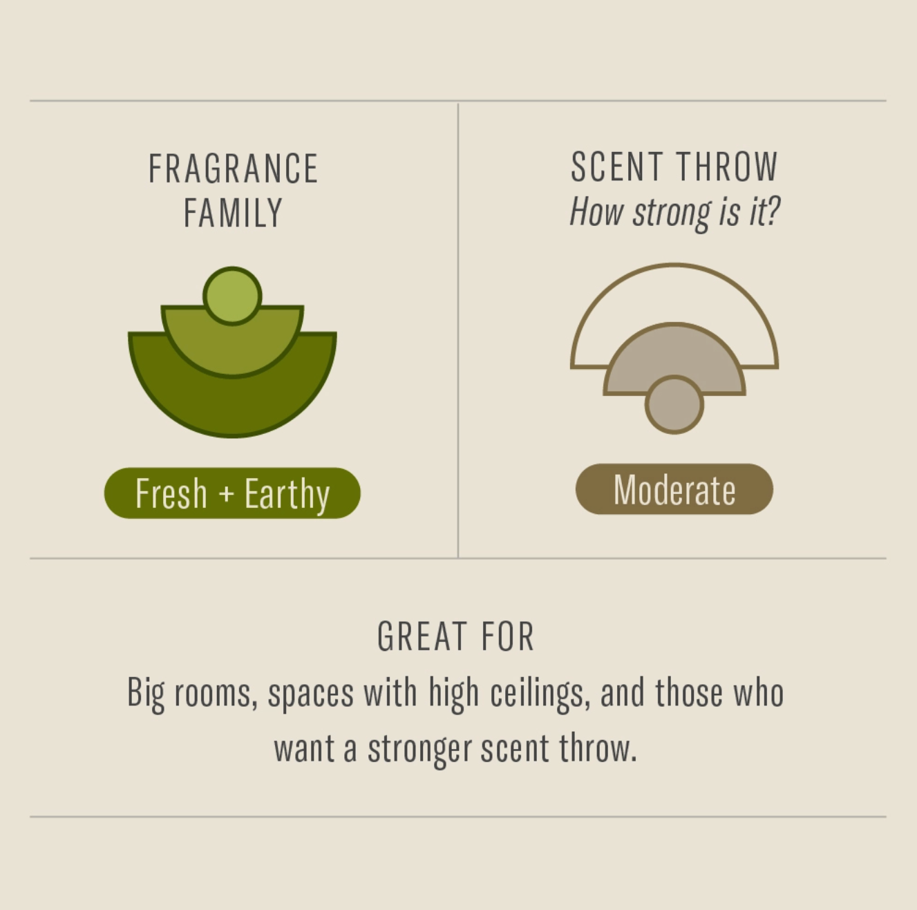 Fragrance chart showing P.F. Candle Co. Amber & Moss scent profile: Fresh and Earthy with moderate scent throw.
