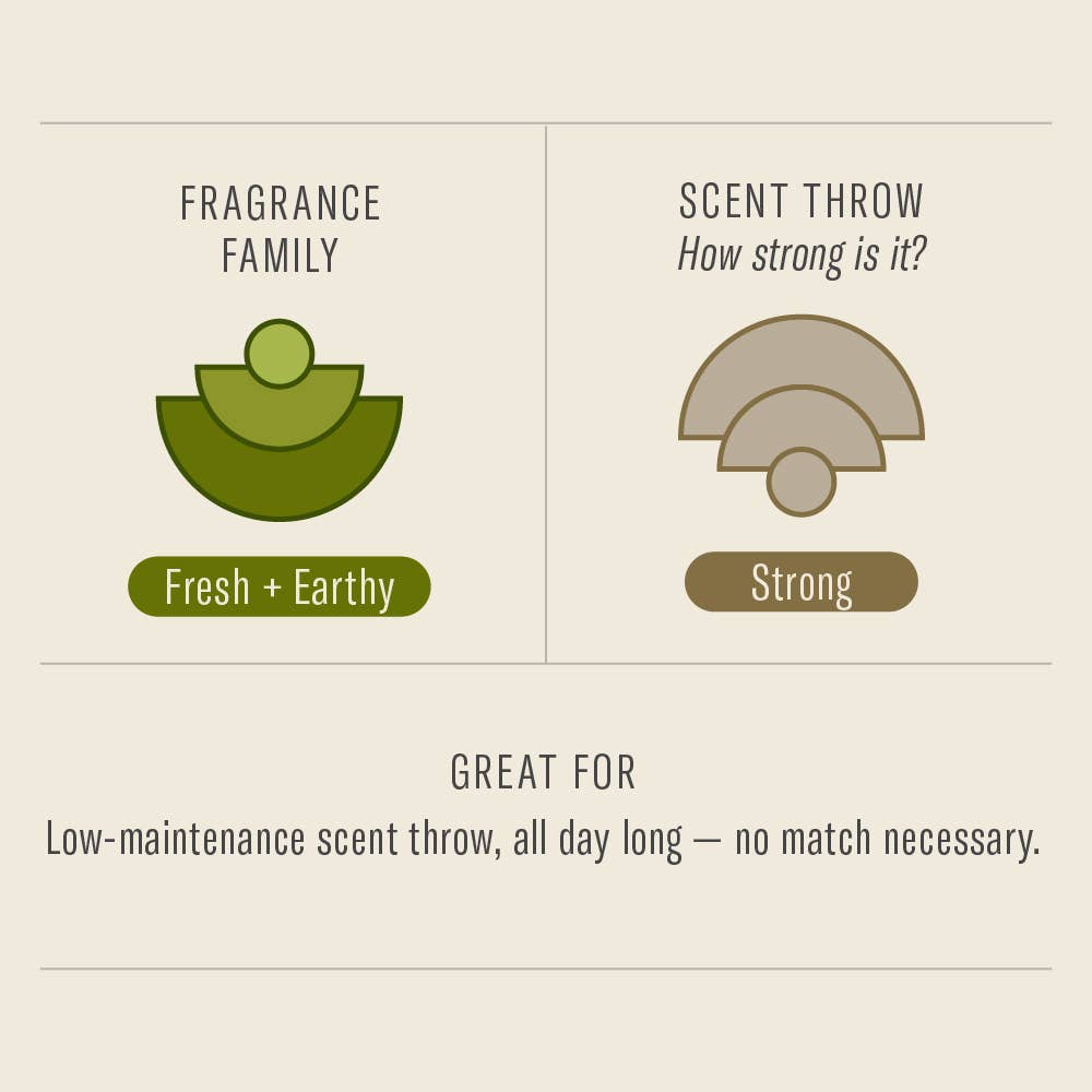 Scent chart for P.F. Candle Co. Amber & Moss diffuser showing fresh and earthy fragrance and strong scent throw.