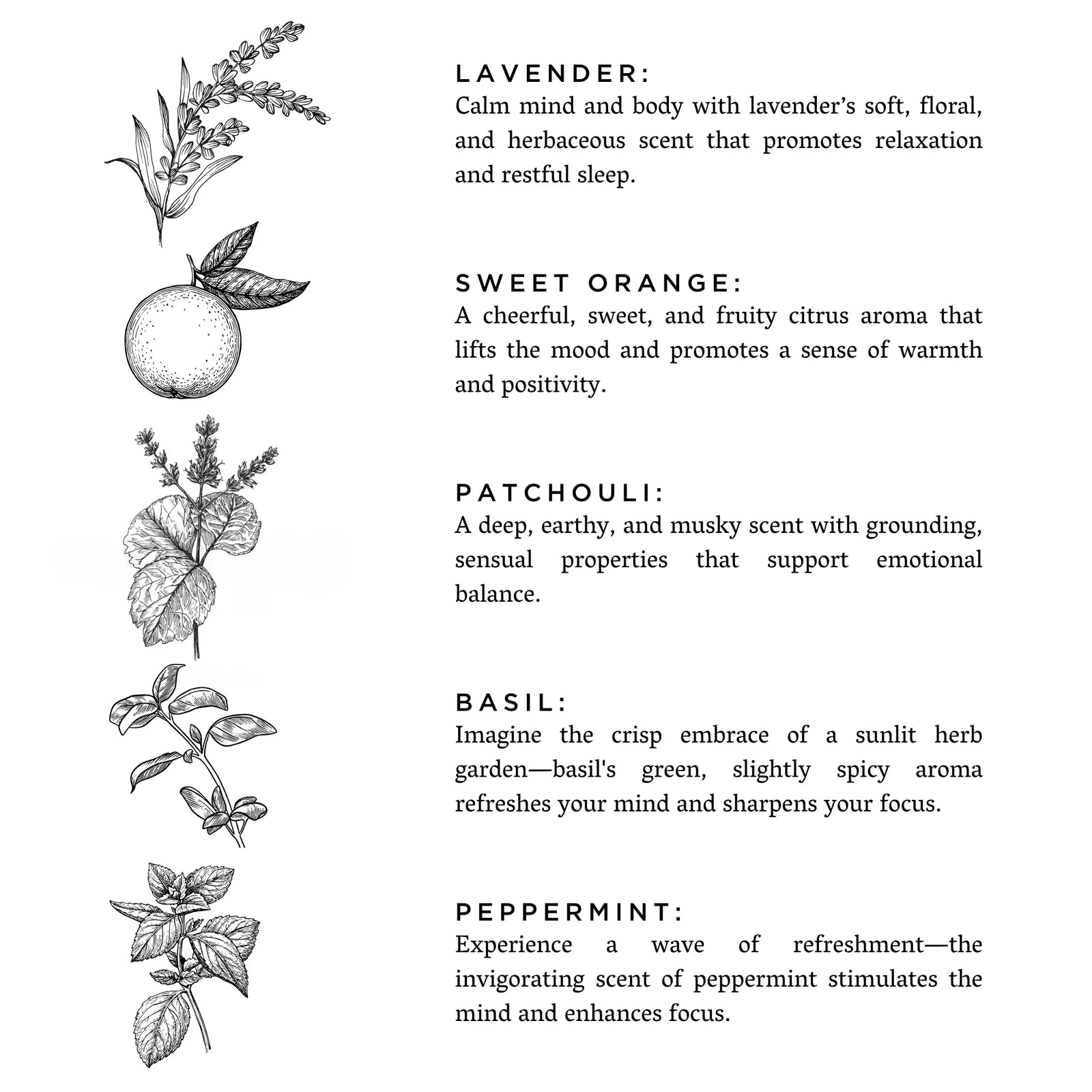 Illustrated ingredient guide featuring lavender, sweet orange, patchouli, basil, and peppermint, with short descriptions of each scent’s benefits.