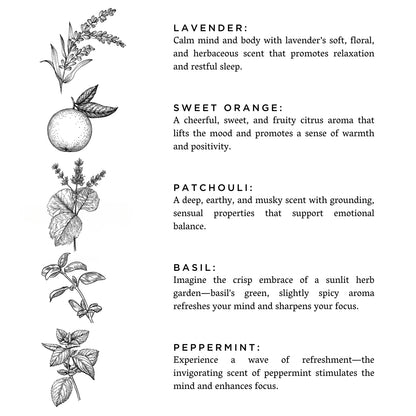 Illustrated ingredient guide featuring lavender, sweet orange, patchouli, basil, and peppermint, with short descriptions of each scent’s benefits.