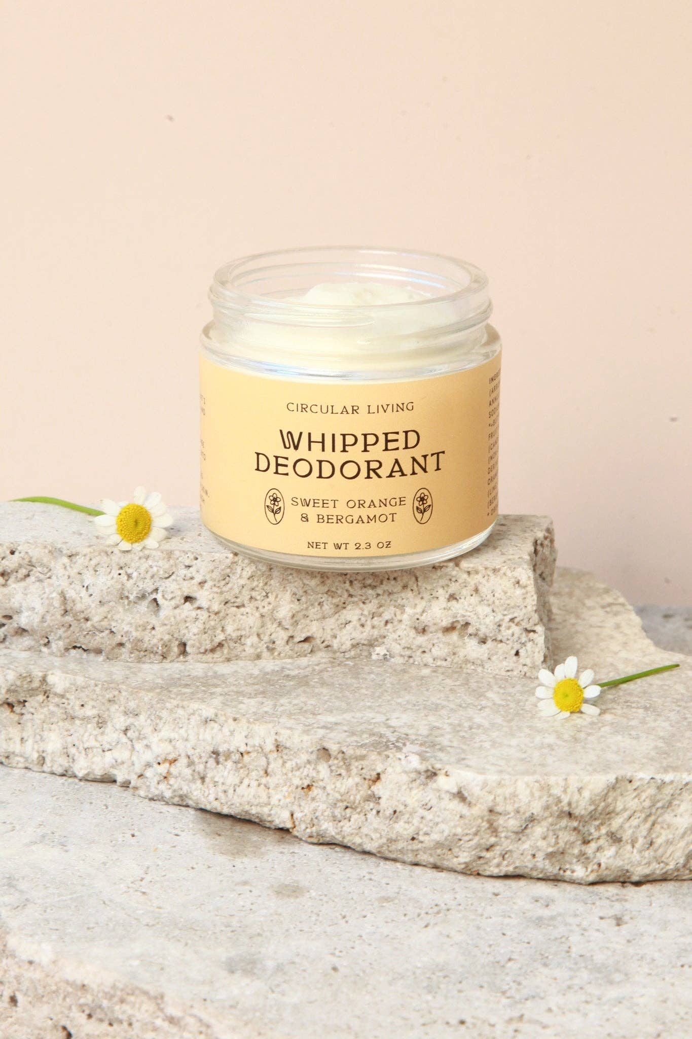 Circular Living Whipped Deodorant Sweet Orange and Bergamot open jar on stone with chamomile flowers.