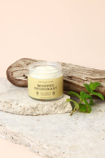 Open Circular Living Whipped Deodorant Tea Tree and Spearmint with fresh mint on stone by driftwood.