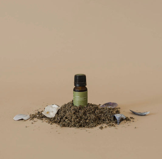 Fern & Petal Coast Essential Oil Blend bottle resting on sand with seashells on a neutral background.