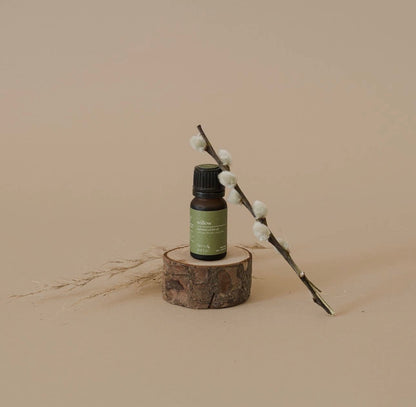 Fern & Petal Willow Essential Oil bottle displayed on a wooden base with a decorative branch.