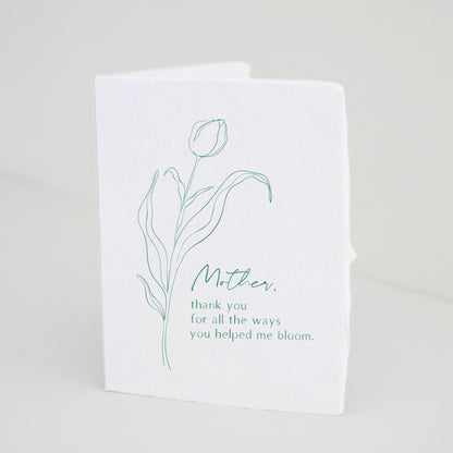 Front of Paper Baristas card with green tulip line drawing and the message “Mother, Thank You For All The Ways You Helped Me Bloom.”